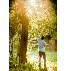 Nůžky na živý plot s pilkou a nástavcem CELLPRO