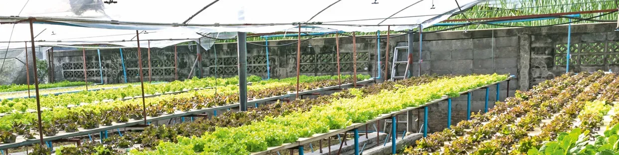 Zavlažovací hadice